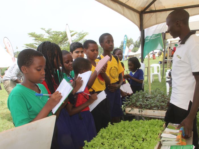 Qui culpa commodo consectetur anim consectetur amet excepteur mollit sunt nulla eiusmod pariatur